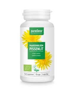 Pissenlit extrait 250 mg BIO BIO, 90 gélules